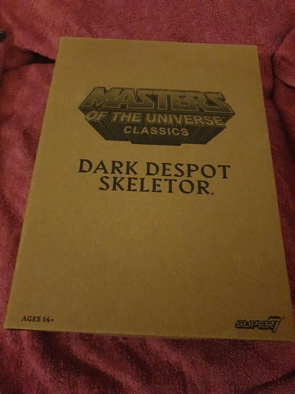 Dark Despot Skeletor Masters of the Universe #1