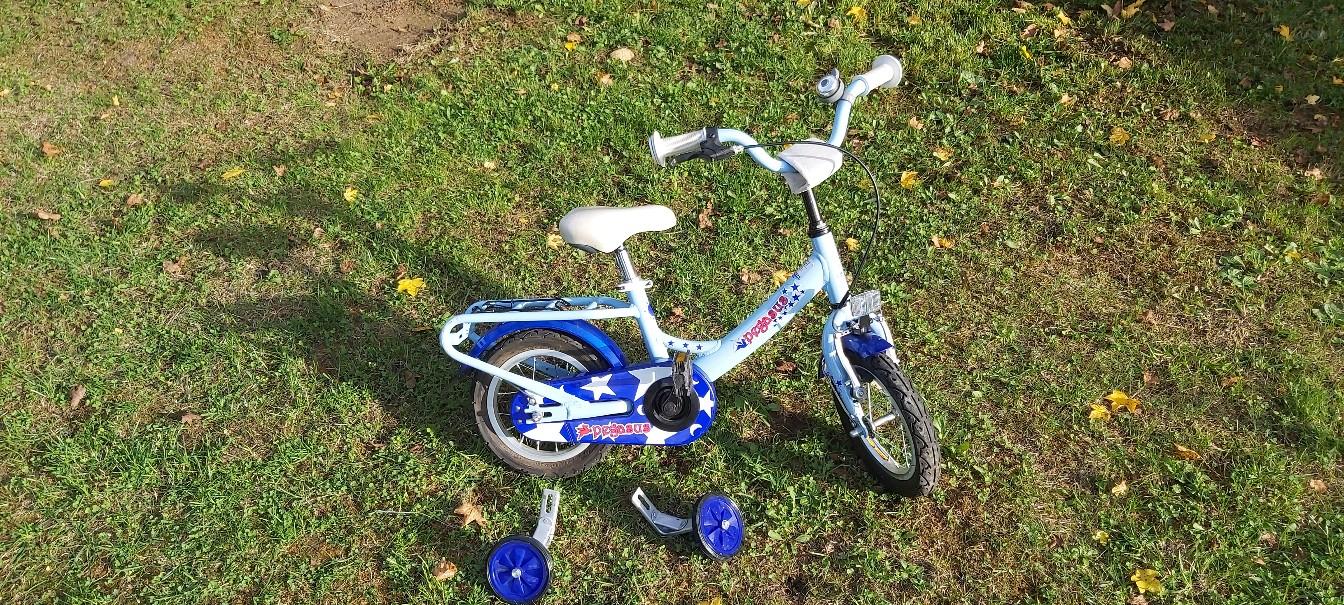 Pegasus 12 1/2 Zoll #1