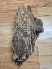 Skulptur KLOTZ Brett Treibholz