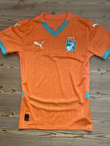 Puma elfenbeinküste - puma,