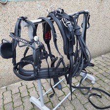 Top  Einspänner Leder