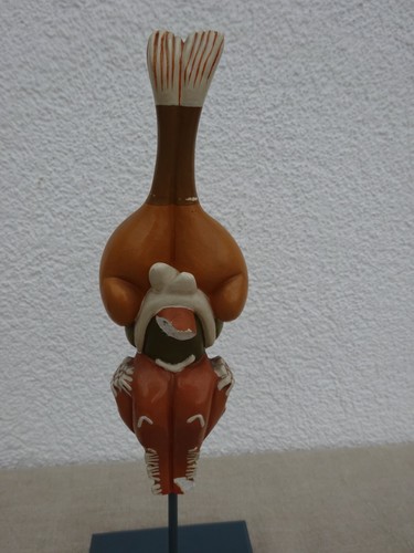 Modell lehrmodell biologie - lehrmodell,