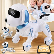 Roboter Hund Kinder