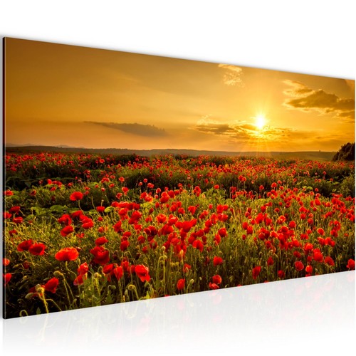 Wandbilder xxl blumen - wandbilder,