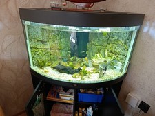 Juwel Trigon 180 + Besatz und