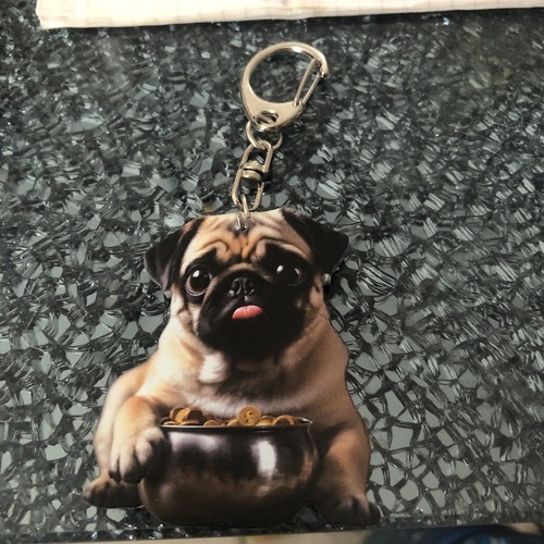 Schlüsselanhänger mops hund - mops,