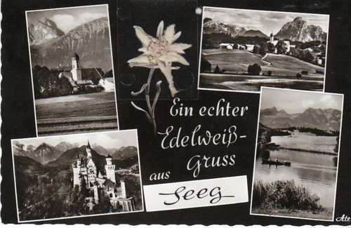 Echter edelweiß gruss aus - echter,
