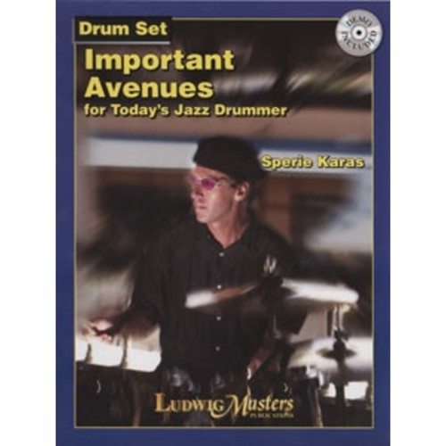 Ludwig music important avenues - music,