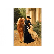 GALGO ESPANOL  Windhund  * Levrier * Greyhound  &  Pferd  * Whippet   Postcard