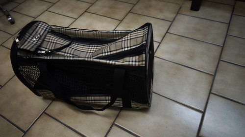 Tier katzen hunde transport - tier,