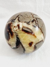 Mineralie Septarie Kugel 