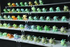 Frösche LPS, Salamander-Echse