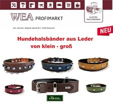 Hundehalsband Leder  Nylon