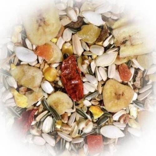 Papagei frucht aras - papagei,