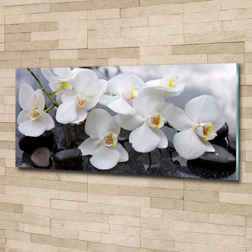 Glas bild wandbilder druck - wandbilder,