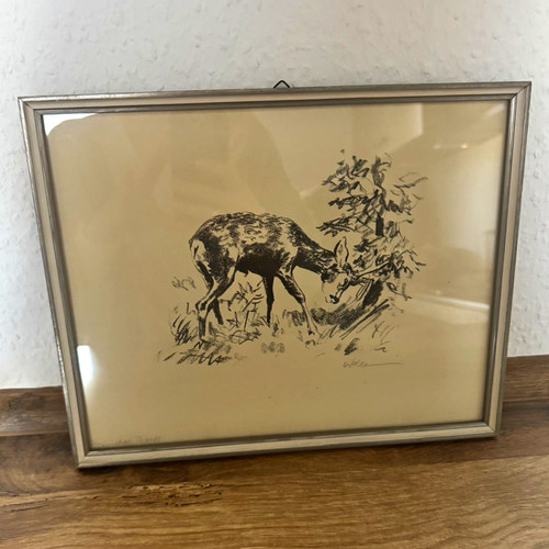 Original kohlezeichnung reh - kohlezeichnung, im