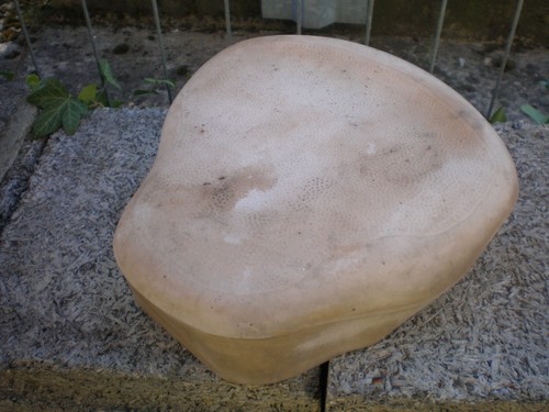 Sitz vom iwl berlin roller - berlin,