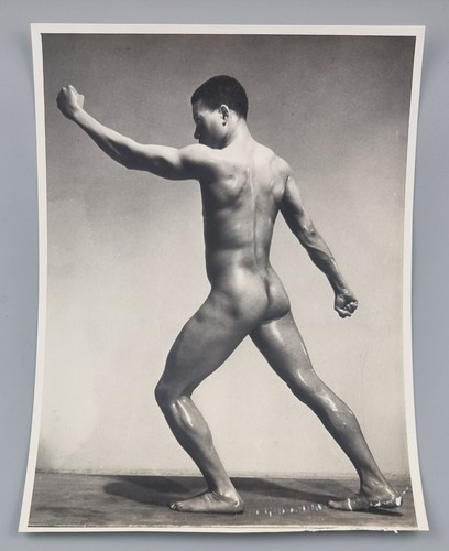 Male nude bodybuilder muscle - male,