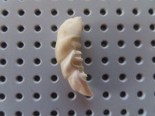 Lego Bionicle Kopf Rahkshi