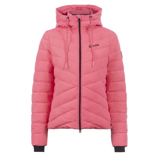 Steppjacke reitjacke - steppjacke,