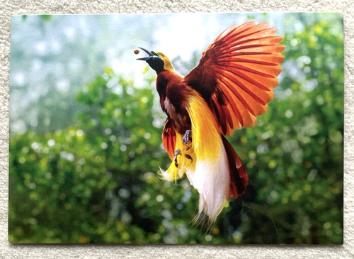 Postkarte kleiner - postkarte,