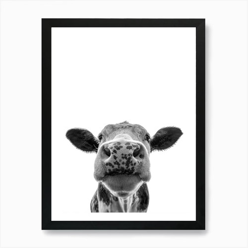 Kuh bauernhof tiere portrait - bauernhof,