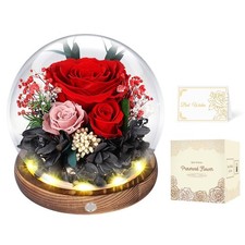 Konservierte Rosen in