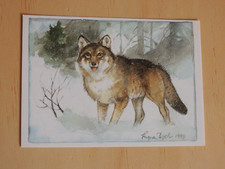 Postkarten wolf ingvar - 1x,