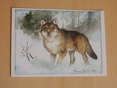Postkarten wolf ingvar - wolf,