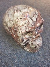 Edelstein-Schädel, Skull