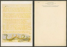 William Blake Das Buch Thel