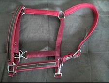 Neu Halfter WB Full bordeaux Felix Bühler Nylon Leder