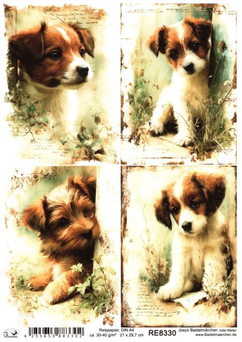 Reispapier din decoupage - reispapier,