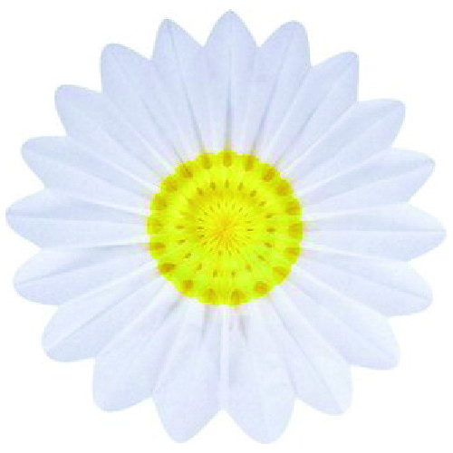 Dekofächer margerite 60cm - dekofächer,
