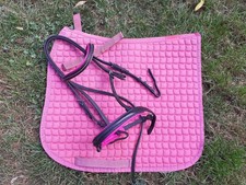 Paket, Shetty, Pony, Schabbis, Reitkissen, Usw