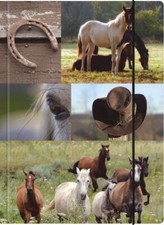 VENCEREMOS 41052 Sammelmappe