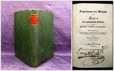 Milankowitsch Organismus des