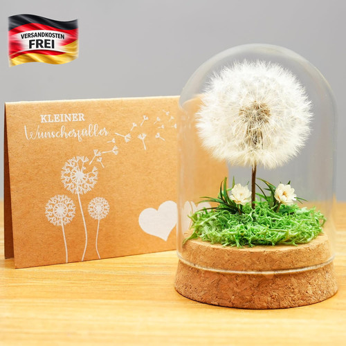 Pusteblume glas als - im,