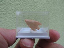 schöne Steinzeit-Pfeilspitze Neolithikum aus Algerien