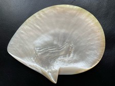 Schale große Perlmuttmuschel