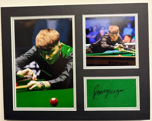 Profi snooker spieler - snooker, robbie