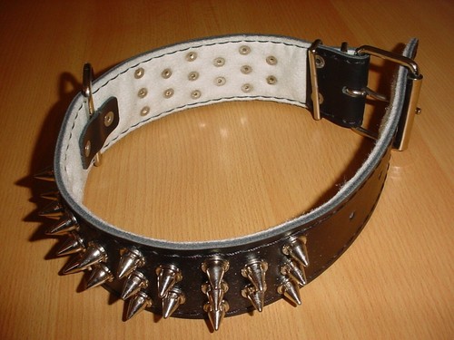 Hundehalsband mit