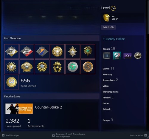 Cs2 steam account 14 medals - cs2,
