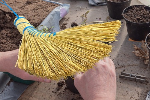 Handbrosse holländer - handbrosse,