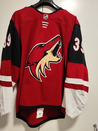 Arizona coyotes game - coyotes,