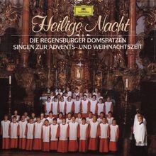 Heilige nacht von regensburger - heilige,