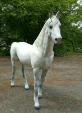 XXL Pferd lebensgross