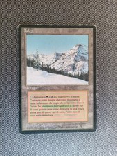 MTG: FBB Italian Taiga LP