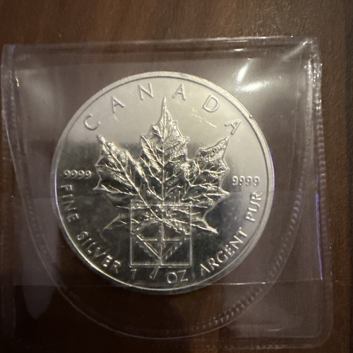 Silbermünze kanada 1991 - kanada,