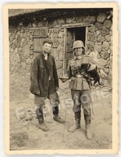 Foto POLEN - polnischer